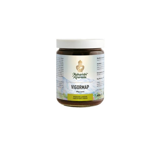 VIGORMAP PASTA 600G