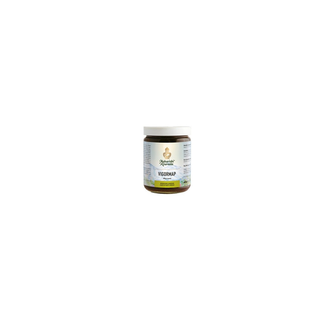 VIGORMAP PASTA 600G