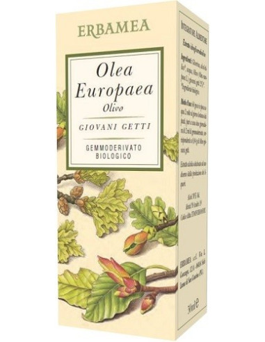OLEA EUROPEA OLIVO BIO 50ML