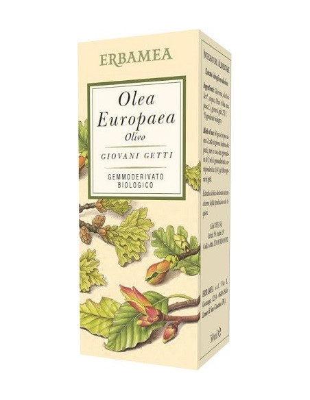 OLEA EUROPEA OLIVO BIO 50ML