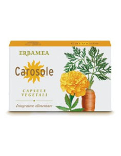 VITAMINDERMINA POLV ESTR VEG