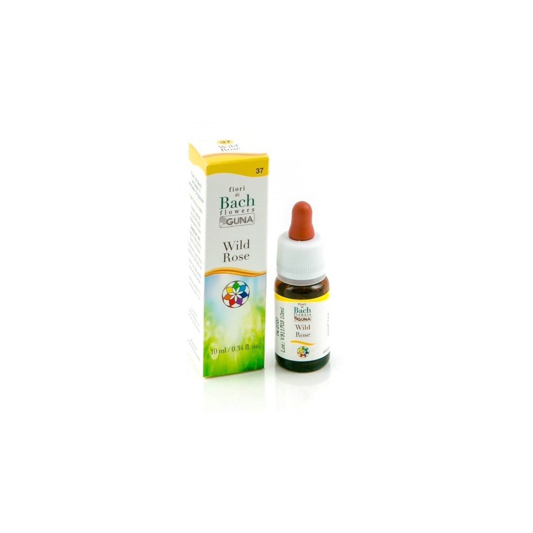WILD ROSE GUN GTT 10ML