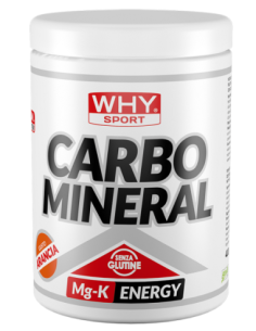 WHYSPORT CARBO MINERAL 400G