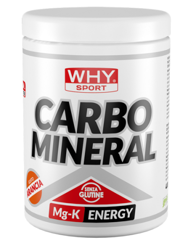 WHYSPORT CARBO MINERAL 400G