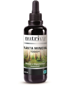 NUTRIVA PLANTA MINERAL TODDY