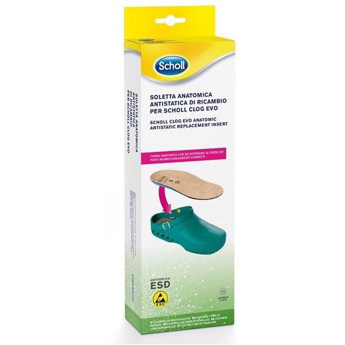 CLOG EVO ANAT INS MIC38-39