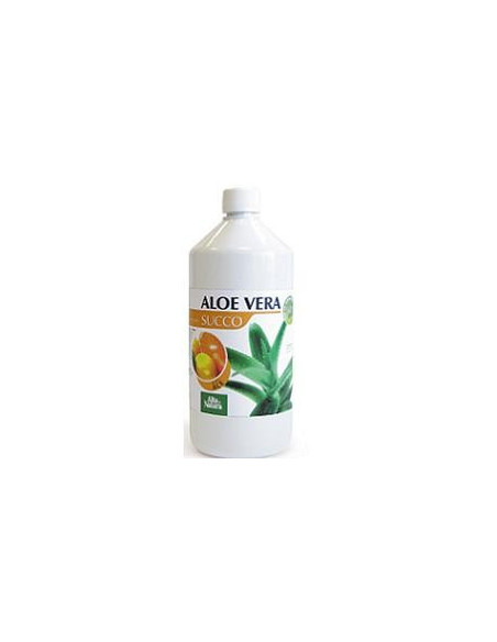 ALOE VERA SUCCO ACE 1L