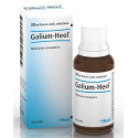 GALIUM 30ML GTT HEEL