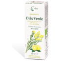 ORIS VERDE CAIRA GTT