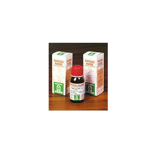 AMAMELIDE 15 50ML TM