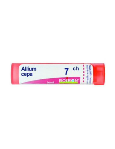 ALLIUM CEPA 7CH GRANULI