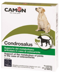 CONDROSALUS ORME NAT 60CPR