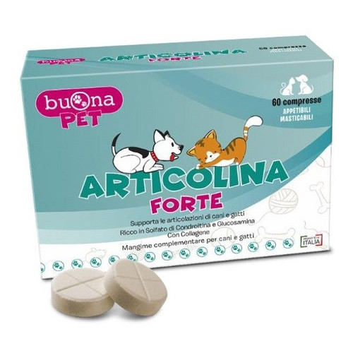 ARTICLE FORTE 60CPR