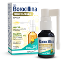 NEOBOROCILLINA SPR PROPOSAL