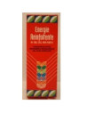 ENERGIE REINFOLTENTE 100ML