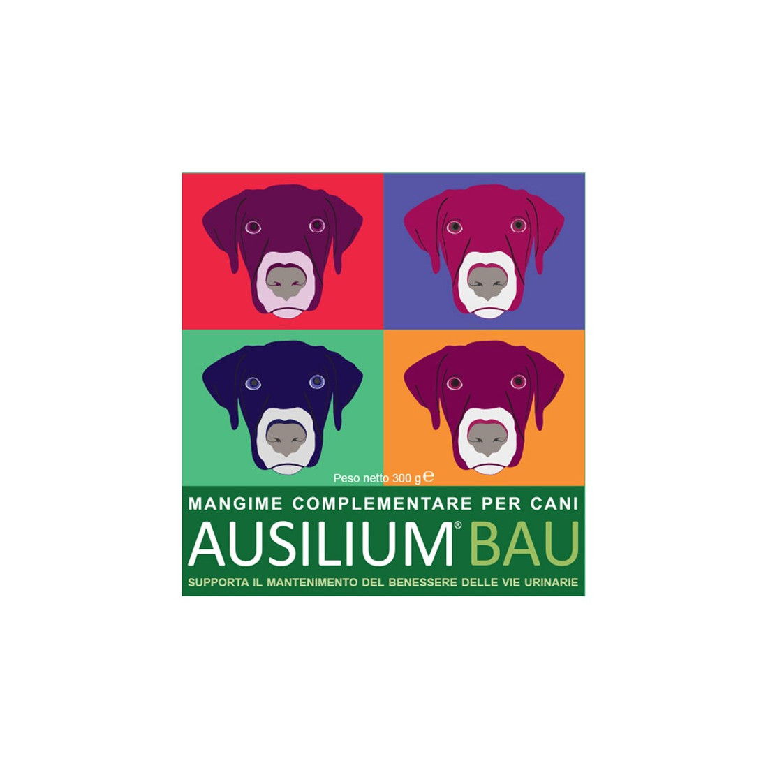 AUSILIUM BAU 300G C/MISURINO
