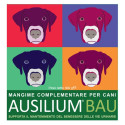 AUSILIUM BAU 300G C