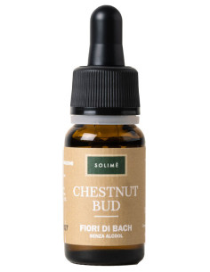 CHESTNUT BUD 10ML