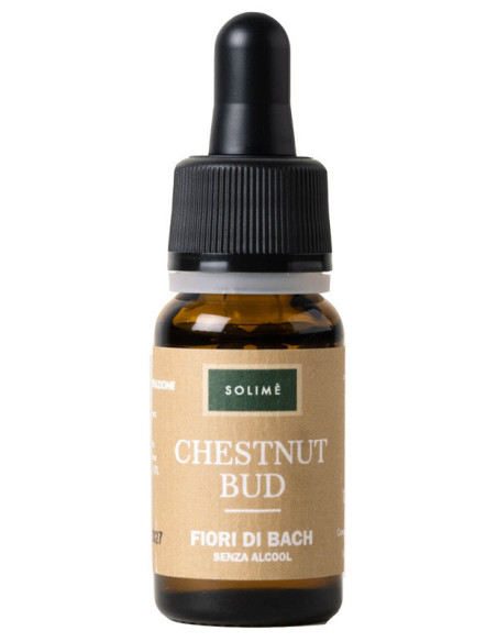 CHESTNUT BUD 10ML