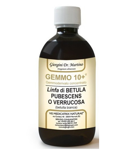 BETULLA B LINFA AN GEMM10+ 500