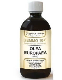 OLIVO 500ML ANALCO GEMMO 10+