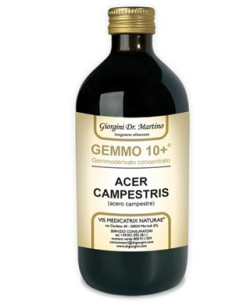 ACERO CAMP 500ML ANALCO GEM10+