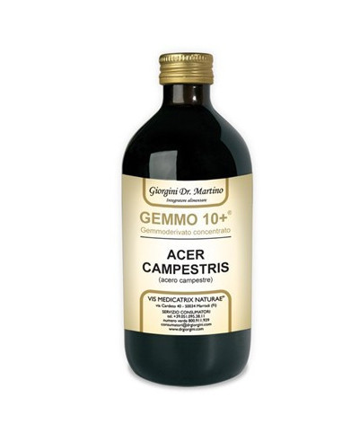 ACERO CAMP 500ML ANALCO GEM10+