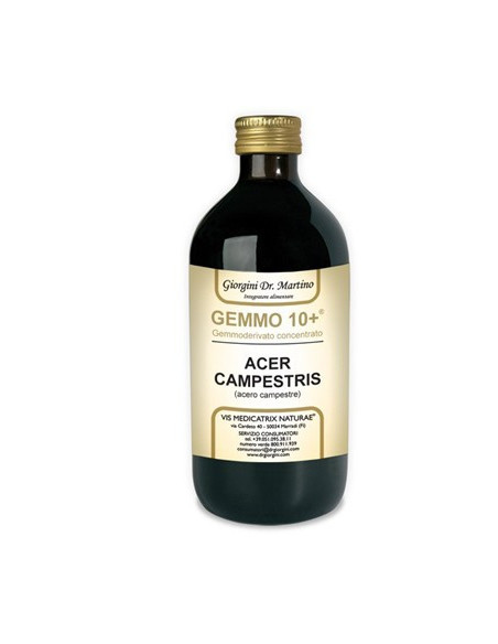 ACERO CAMP 500ML ANALCO GEM10+