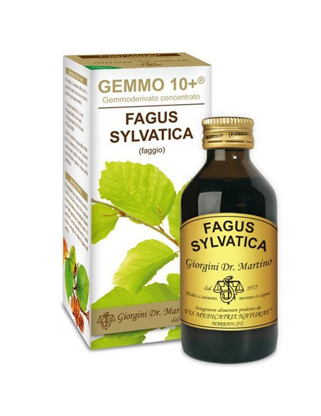 FAGGIO 100ML ANALCO GEMMO 10+