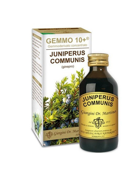 GINEPRO 100ML ANALCO GEMMO 10+