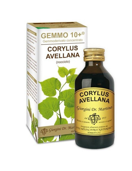 NOCCIOLO 100ML ANALCO GEM 10+