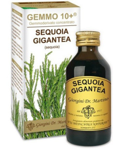 SEQUOIA 100ML ANALCO GEMMO 10+