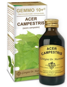 ACERO CAMP 100ML ANALCO GEM10+