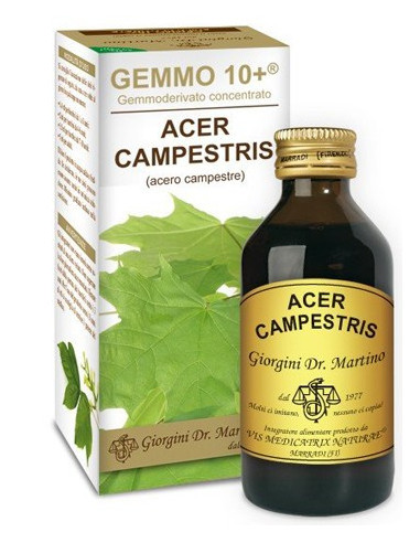 ACERO CAMP 100ML ANALCO GEM10+