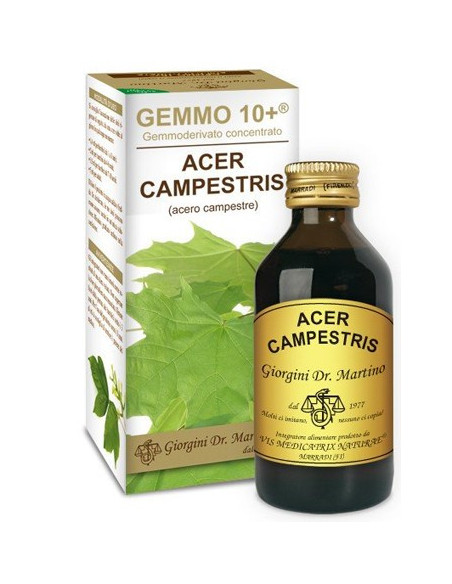 ACERO CAMP 100ML ANALCO GEM10+