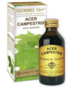 ACERO CAMP 100ML ANALCO GEM10+