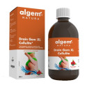 DRAINGEM XL FRUIT CELLS BOS