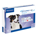EFFIPRO DUO 4PIP 10-20KG CANI