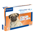 EFFIPRO DUO 4PIP 2-10KG CANI
