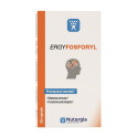 ERGYFOSFORYL 60CPS