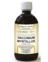 GEMMO 10+ MIRT NE LIQ AN 500ML