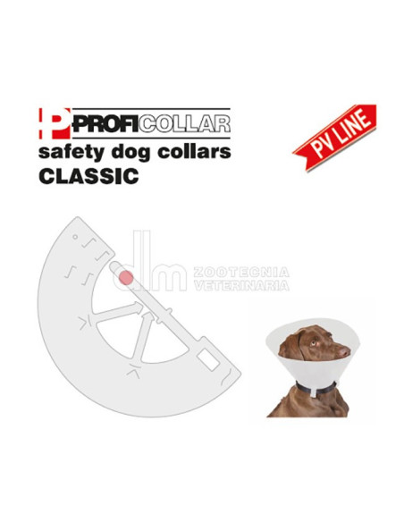 COLLARE ELISAB CLAS/OP 10 XS