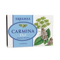 CARMIN DOL 30CPR
