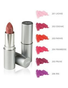 DEFENCE COLOR ROS LIPSHINE206