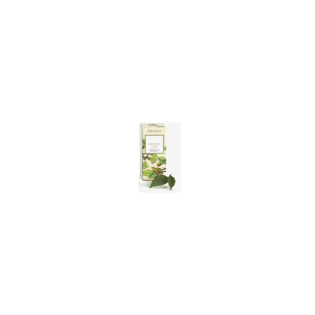 FICUS CARICA GEMME GD BIO