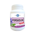 FORSKOLIN FOR 60CPS