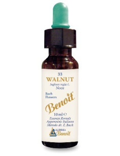 BENOIT FIORI DI BACH WALNUT