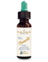 PENTA REMEDY BENOIT 10ML