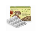 IMMUNOSEMPLE DEFENCE 24CPS