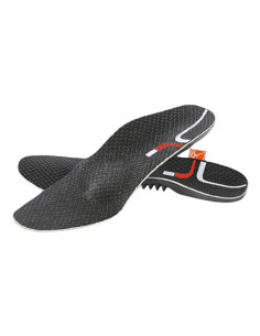 PODIFER20 PLANT FLEB C/BARRA36